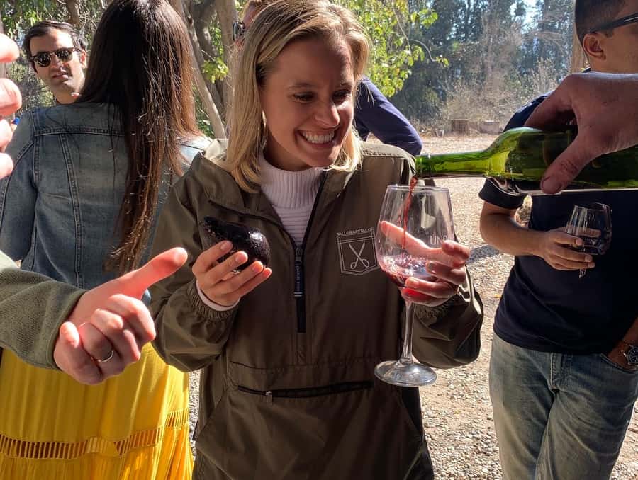 Santiago: Maipo Valley Wine Tasting Tour with 4 Vineyards - Santa Ema offers a shorter, polished tasting