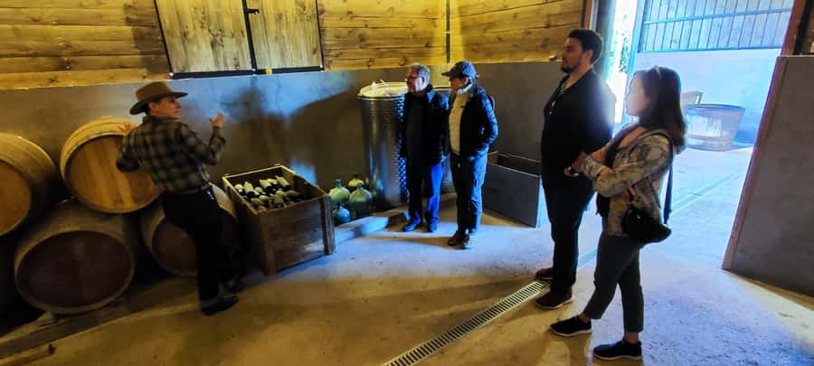 Santiago: Maipo Valley Wine Tasting Tour with 4 Vineyards - Undurraga shows Chilean wine at a larger scale