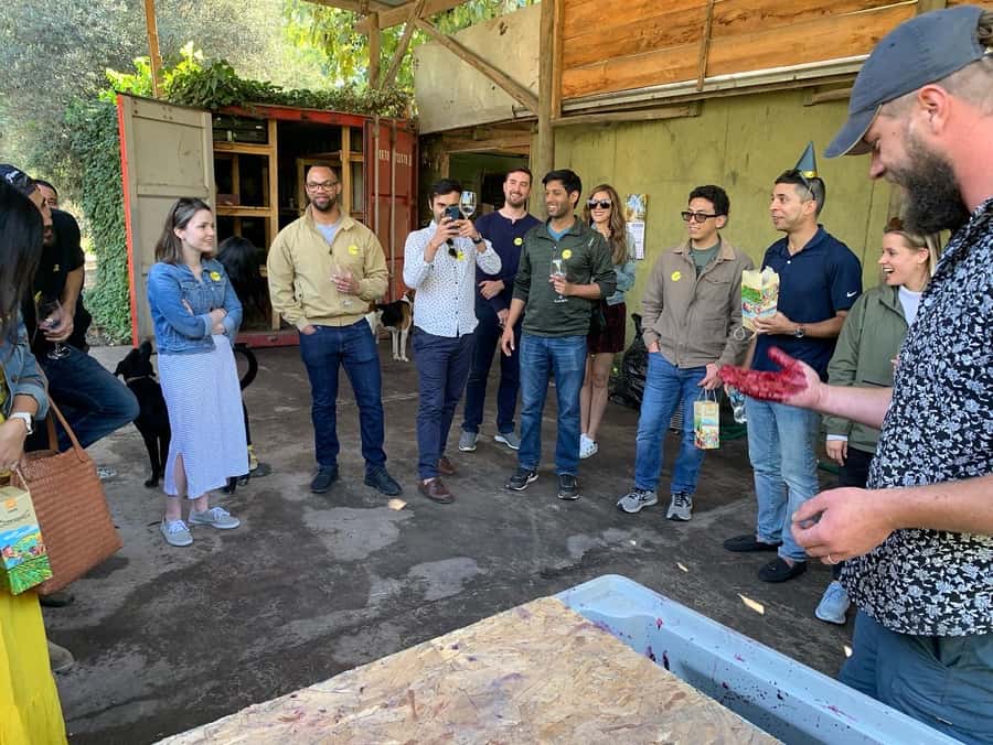 Santiago: Maipo Valley Wine Tasting Tour with 4 Vineyards - The guides shape the whole experience