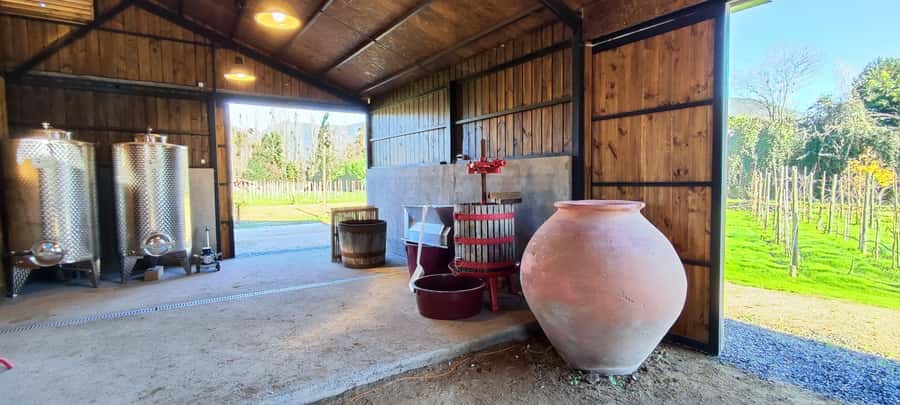 Santiago: Maipo Valley Wine Tasting Tour with 4 Vineyards - How much wine do you actually taste?