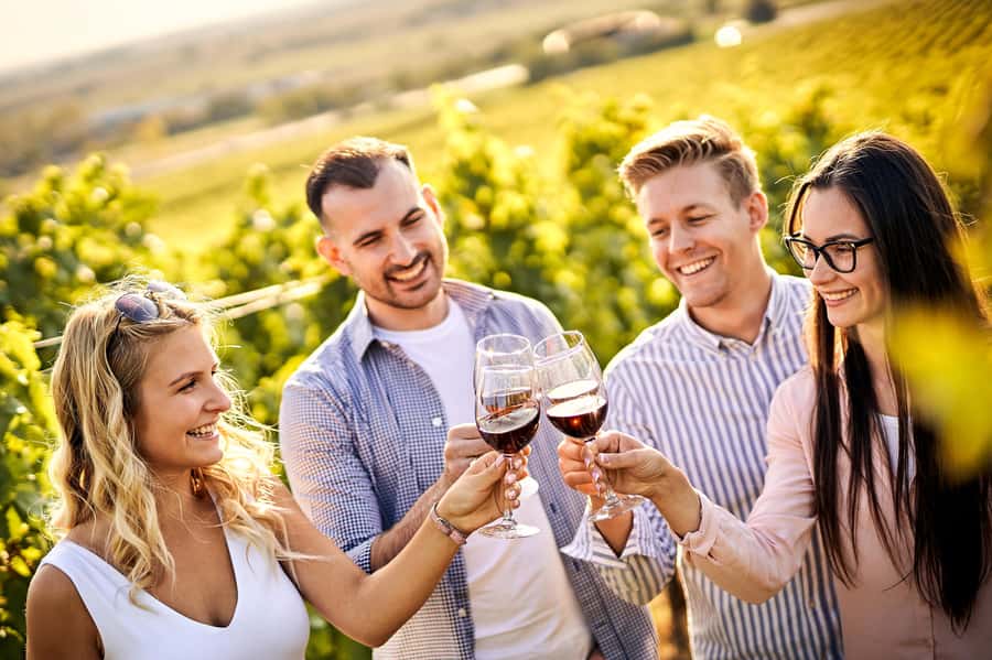 Santiago: World-class Wines, Visit to 4 Vineyards and Tanino - Key points at a glance