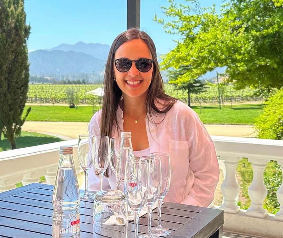 Santiago: World-class Wines, Visit to 4 Vineyards and Tanino - Viñamar and Casablanca’s sparkling wines