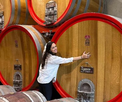 World-class Wines, Visit to 4 Vineyards and Tanino