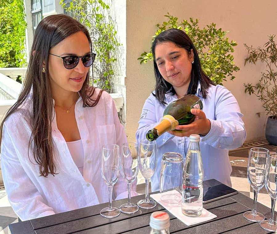 Santiago: World-class Wines, Visit to 4 Vineyards and Tanino - Bodegas RE and the less conventional stop
