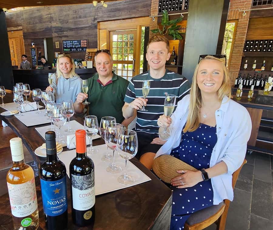 Santiago: World-class Wines, Visit to 4 Vineyards and Tanino - What the guide adds to the day