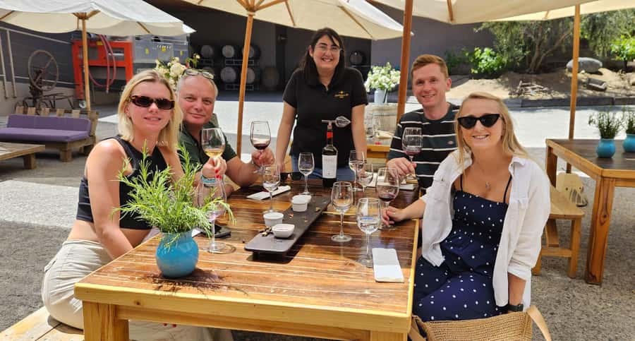 Santiago: World-class Wines, Visit to 4 Vineyards and Tanino - Is $149 good value?