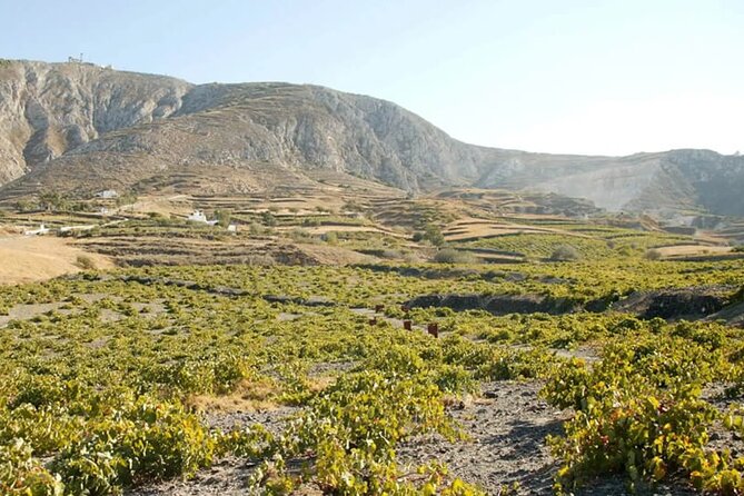 Santorini: Must-See & Winery Visit Private Tour - Starting in Oia with 90 minutes