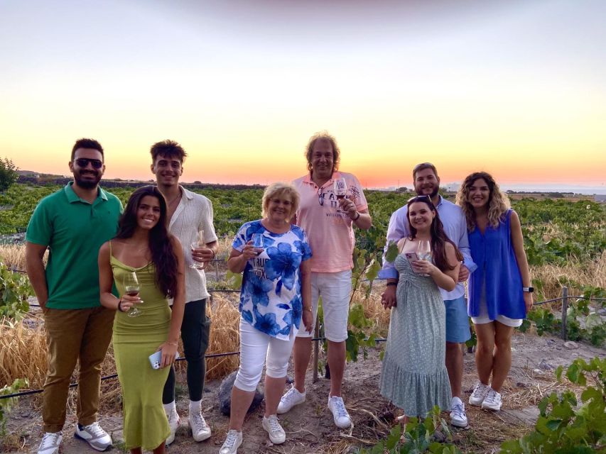 Santorini: Vineyard and Winery Tour with Cooking Class - What $229 buys you