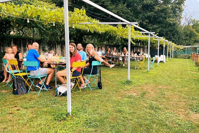Savor Ossola Wines & Local Treats in a Scenic Vineyard - Key details to know before you go