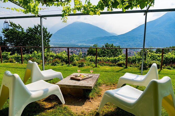 Savor Ossola Wines & Local Treats in a Scenic Vineyard - A family winery above Domodossola