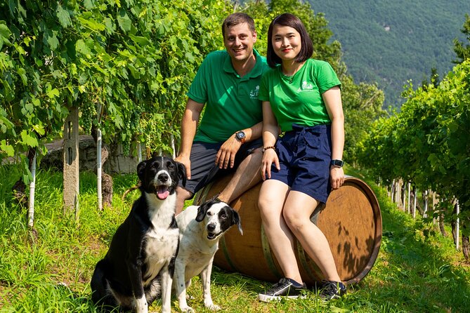 Savor Ossola Wines & Local Treats in a Scenic Vineyard - Is $39.65 a fair price?