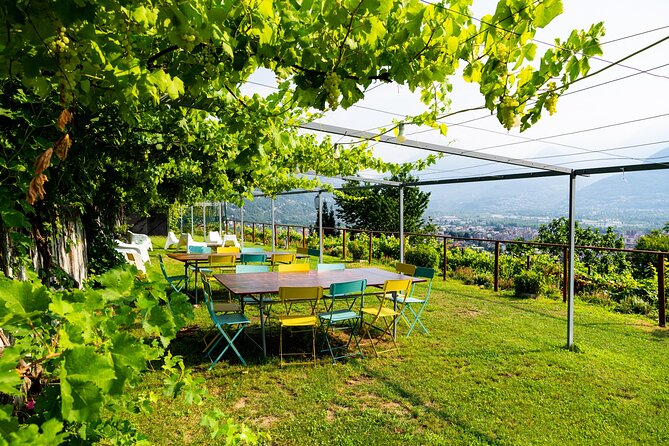 Savor Ossola Wines & Local Treats in a Scenic Vineyard - Who will enjoy this experience most?