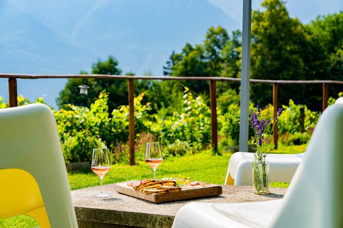 Savor Ossola Wines & Local Treats in a Scenic Vineyard - Walking through the vineyard and hearing the family story