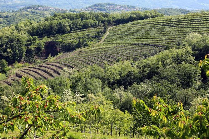 Secret vineyards E-bike tour - Is $360.03 a fair price?