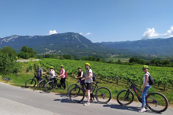 Secret vineyards E-bike tour - My verdict on RockVelo’s Secret Vineyards E-bike tour
