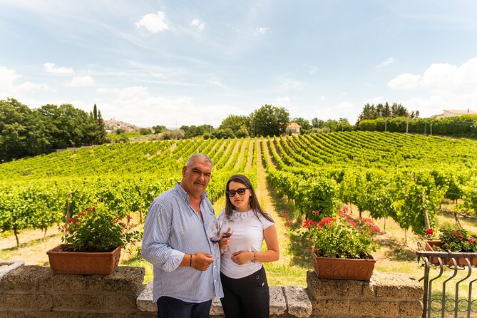 Sella delle Spine Taurasi: Tasting, Vineyard and Cellar Tour - Key points to know