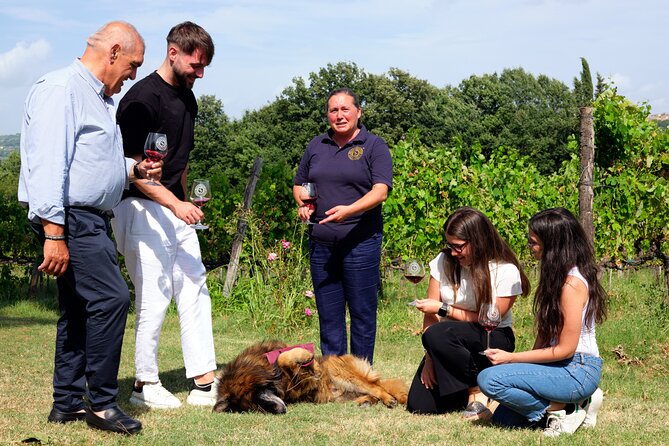Sella delle Spine Taurasi: Tasting, Vineyard and Cellar Tour - Marchionale Castle gives the tour a second focus