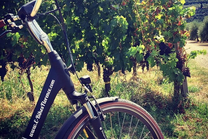 Semi-Private Chianti Wine Tour with Dinner in Tuscany Vineyard - Dinner among the vines