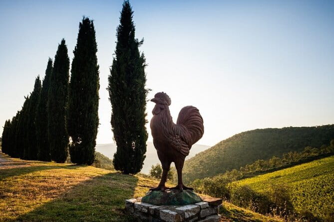 Semi-Private Chianti Wine Tour with Dinner in Tuscany Vineyard - Is $227.02 a fair price?