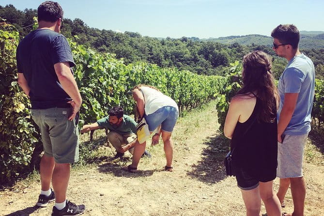 Semi-Private Chianti Wine Tour with Dinner in Tuscany Vineyard - Who will enjoy this outing most?
