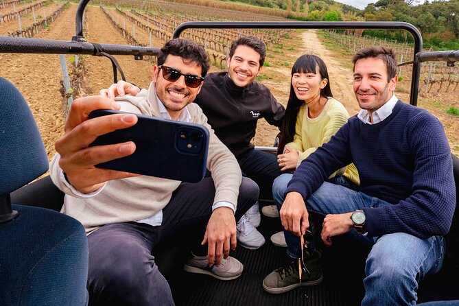 Setúbal: Winery & Fish Market Tasting Tour from Lisbon - Is the $155.76 price fair?