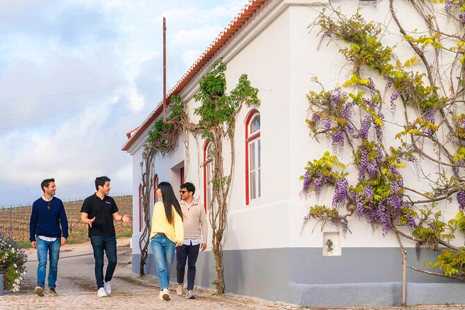 Setúbal: Winery & Fish Market Tasting Tour from Lisbon - Who should book this half-day outing?