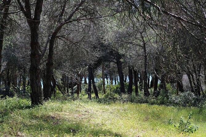 Seven Hanging Valleys Expedition with Lunch in the Vineyard - The value of a $555.27 private day