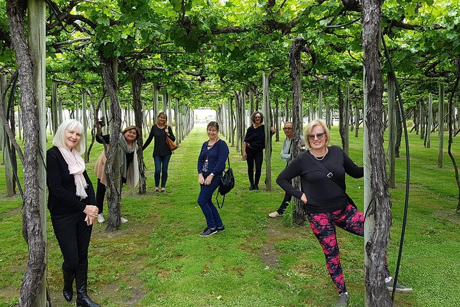 Shore Excursion Marlborough Wine Region Tour from Picton - Who will enjoy this tour most
