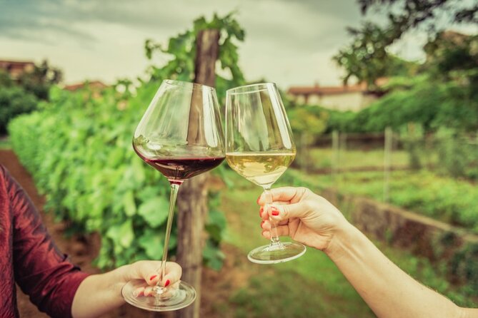 Sicilian Winery Tour with Wine Tasting from Palermo - What the private format changes