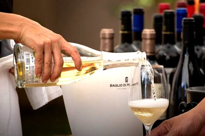 Sicilian Winery Tour with Wine Tasting from Palermo - Points to consider before paying $216.74