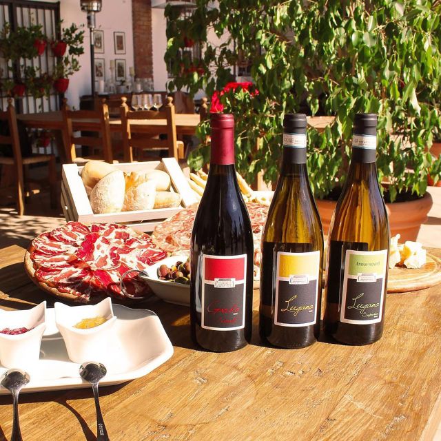 Sirmione: Vineyard Tour with Lugana Wines and Local Tastings - Is $40 good value?