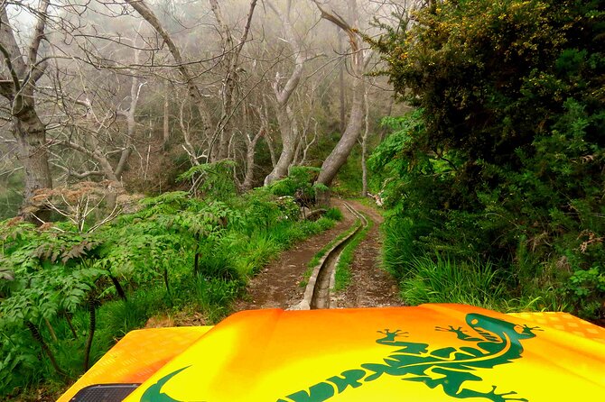 Skywalk, Vineyards, Landscapes and 4x4 Experience in Madeira - What the 4x4 format adds