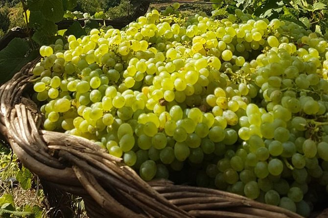 Skywalk with Wines Tasting and Vineyards Half day 4x4 Adventure - What the $90.70 price includes
