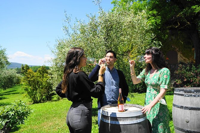 Small group Chianti Classico & Brunello wine region from Siena - Key points to know before booking