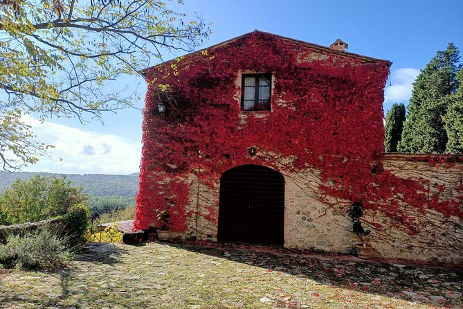 Small group Chianti Classico & Brunello wine region from Siena - What the six-person limit changes