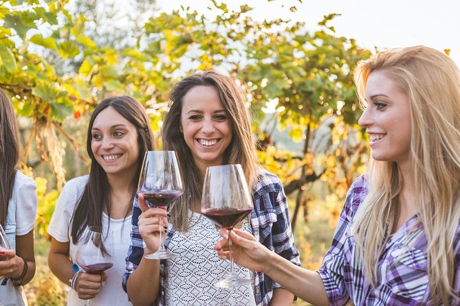 Small group Chianti Classico & Brunello wine region from Siena - What the strong feedback tells you to expect