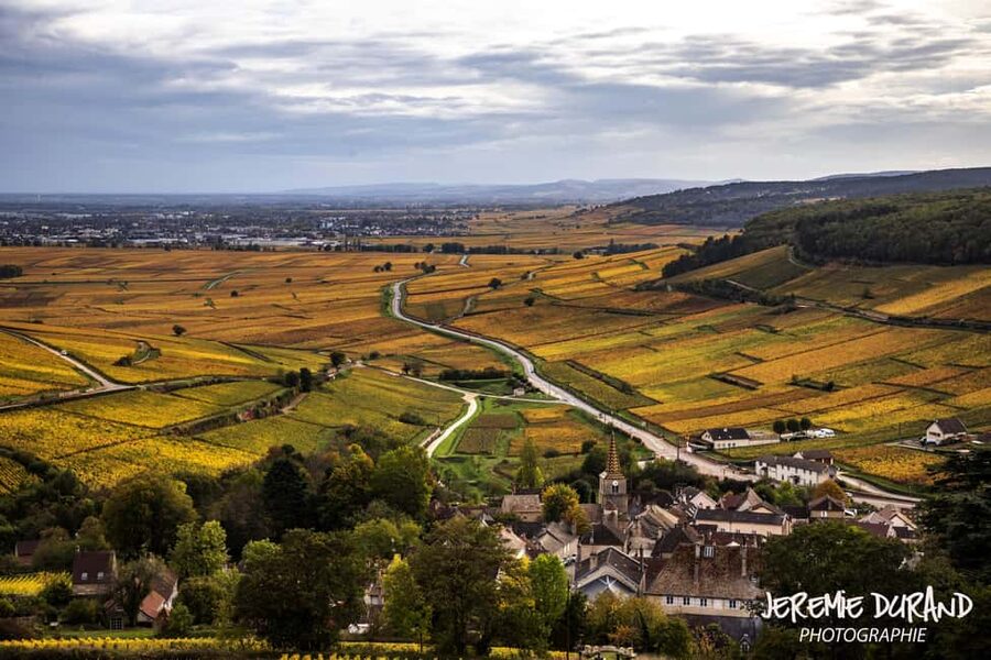 Small group full day tour in the Burgundy vineyards - Why this route makes sense for a first Burgundy wine day