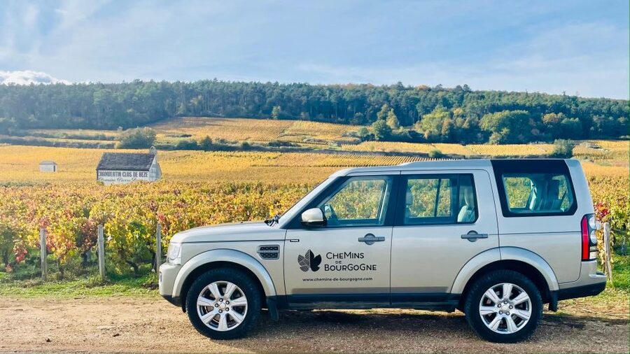 Small group full day tour in the Burgundy vineyards - The morning through Pommard, Meursault, and Chassagne-Montrachet