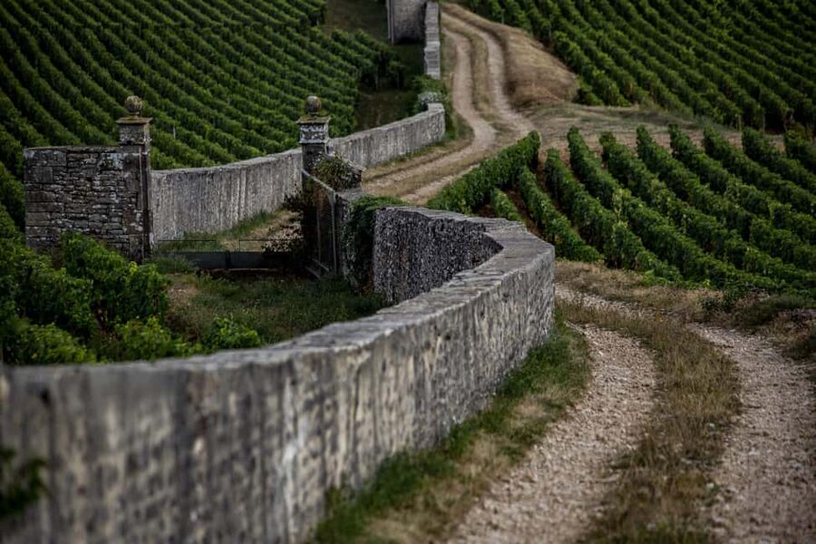 Small group full day tour in the Burgundy vineyards - Lunch in Beaune gives you useful freedom