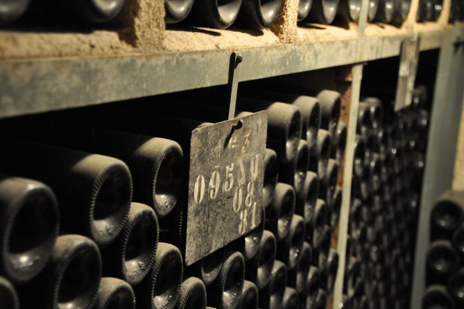 Small-Group Full-Day Tour of Côte de Nuits, Côte de Beaune Vineyards and Beaune Historical District - What this Burgundy day trip is really designed to do