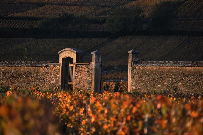 Small-Group Full-Day Tour of Côte de Nuits, Côte de Beaune Vineyards and Beaune Historical District - The second winery: useful contrast, uneven presentation