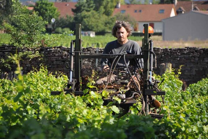 Small-Group Full-Day Tour of Côte de Nuits, Côte de Beaune Vineyards and Beaune Historical District - Price and value at $161.32