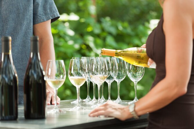 Small-Group Giant Redwoods and Russian River Wine Country Trip - The best parts of the day at a glance