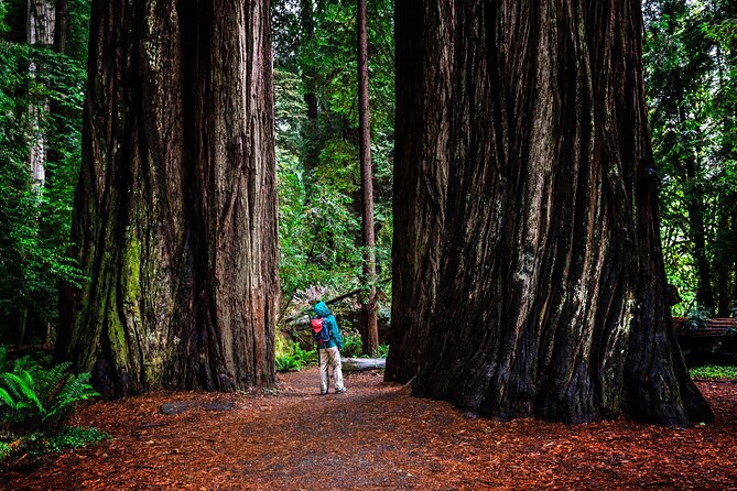 Small-Group Giant Redwoods and Russian River Wine Country Trip - Hook & Ladder brings the intimate tasting