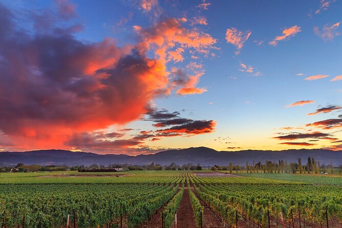 Small-Group Giant Redwoods and Russian River Wine Country Trip - Guerneville gives the drive a small-town pause