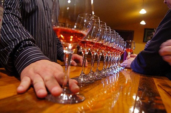 Small Group Napa and Sonoma Half-Day Wine Tour from San Francisco - How the tasting pace feels