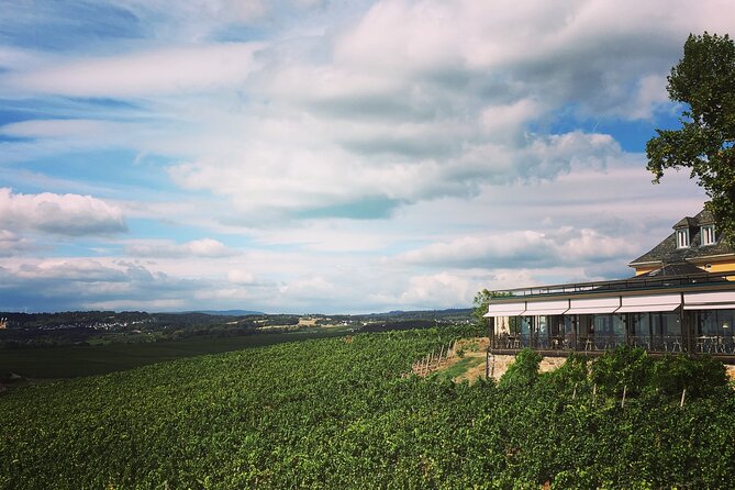 Small Group Rheingau Vineyards Tour with Castles and Abbeys - Starting at Kloster Eberbach, the historic heart of the day