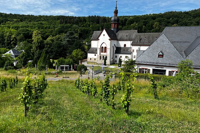 Small Group Rheingau Vineyards Tour with Castles and Abbeys - Lunch and choice at RheinWeinWelt