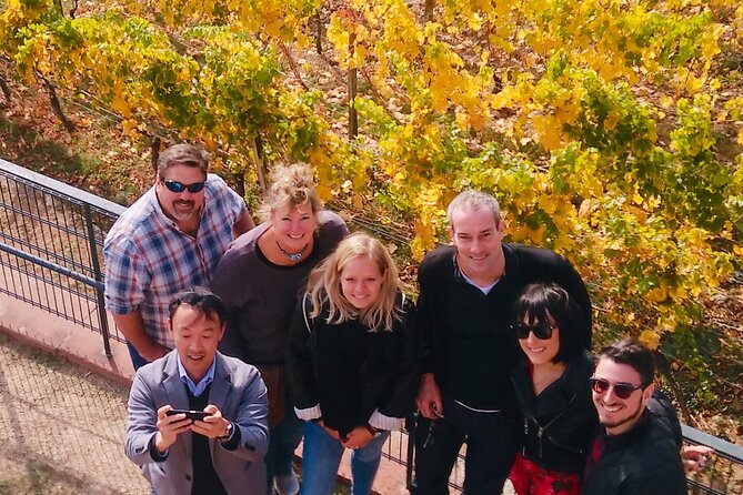 Small Group Rheingau Vineyards Tour with Castles and Abbeys - Jérôme’s role makes the day more personal