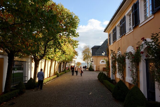Small Group Rheingau Vineyards Tour with Castles and Abbeys - Passing Johannisberg Palace and the Rheingau views